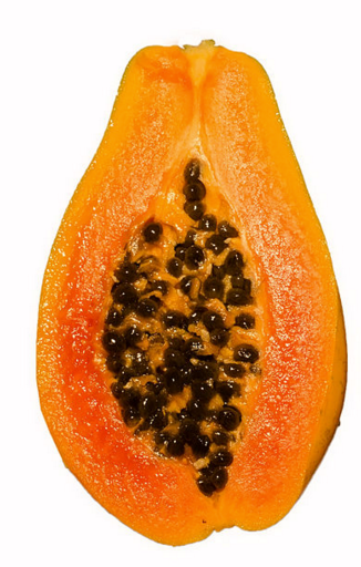 fruit